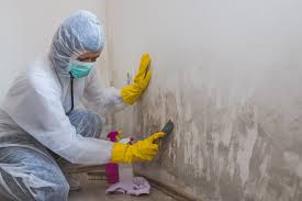 Best Biohazard Mold Removal  in Williamsport, MD